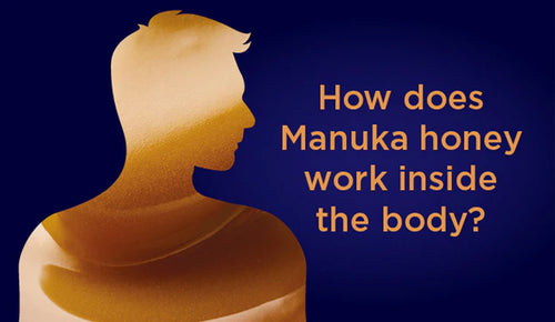 How does Manuka honey work inside the body?