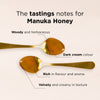 UMF 6+ Monofloral Manuka Honey 500g
