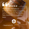 Beech Forest Squeezy Honeydew Honey 500g